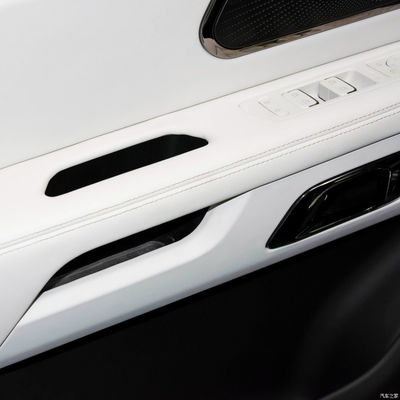 2024 Coche híbrido Polestones 01 6 asientos SUV Coche eléctrico EV Sistema de frenado automático Ji Shi ROX coche híbrido eléctrico