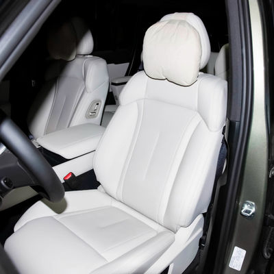 2024 Coche híbrido Polestones 01 6 asientos SUV Coche eléctrico EV Sistema de frenado automático Ji Shi ROX coche híbrido eléctrico
