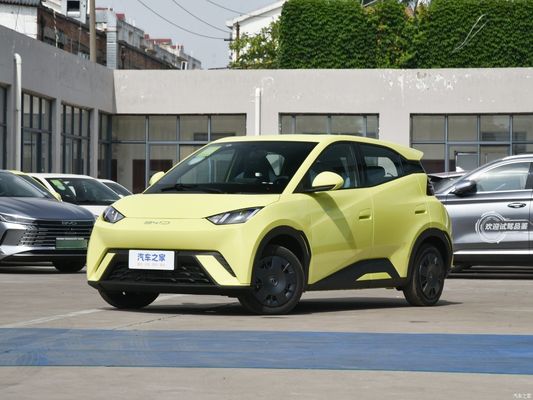 Car Electric Vehicle EV Byd Seagull 2023 Vitality Versión con solicitud personalizada