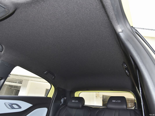 Car Electric Vehicle EV Byd Seagull 2023 Vitality Versión con solicitud personalizada