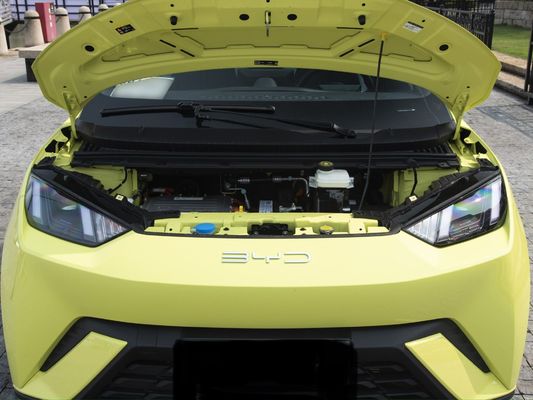 Tipo de combustible eléctrico Personalización 2023 Byd Sea Gull 405 Km Vehículo de energía automotriz moderna