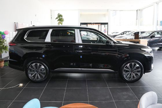 Servicio de posventa en línea/local Exeed Range Rover 2023 400t 4WD Starburst 7 plazas
