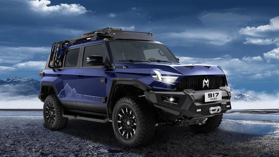 Tipo de carrocería del SUV Mhero 917 Coche eléctrico con SUV eléctrico 2024 Auto Mini Grande Smart Coche eléctrico usado