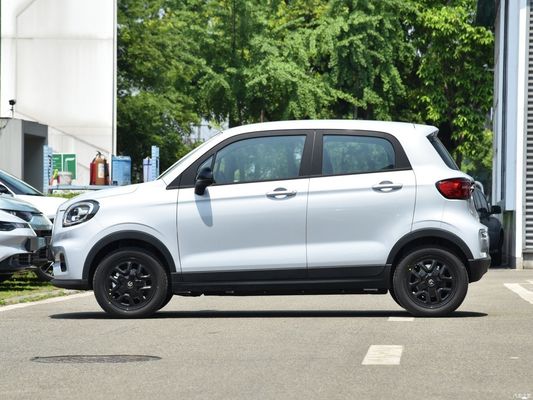 Microcar Car Electric Vehicle EV Leap T03 2023 310 Qingxiang con solicitud personalizada