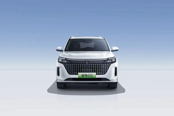 Landian E5 2024 Honor Edition 100km Automático de lujo de 5 plazas con servicio en línea