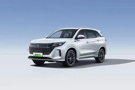 Landian E5 2024 Honor Edition 100km Automático de lujo de 5 plazas con servicio en línea