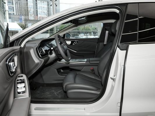 Rising Auto F7 2023 versión PRO de larga duración Coche con tipo de carrocería cerrada y enfriamiento líquido