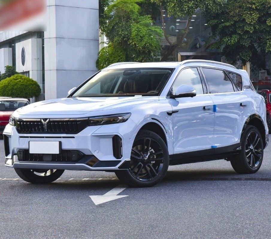 4905x1950x1645 asientos 5 Ultra-Rango Largo Energía SUV eléctrico